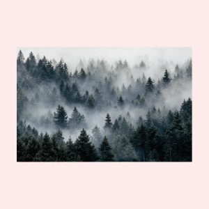 Foto op akoestisch vilt