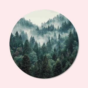 Foto op wandcirkel: forex