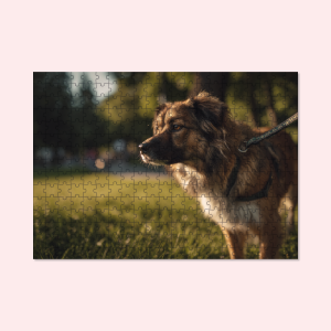 Foto op puzzel 315 stukjes